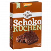 Bio Schokokuchen