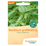 Bio Basilikum großblättrig, Ocimum basilicum