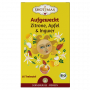 Bio Aufgeweckt Gewürztee 16Stk