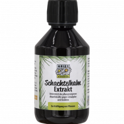 Schachtelhalmextrakt