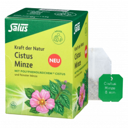 Bio Cistus Minze Tee, 15 Filterbeutel
