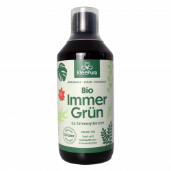 Bio Immer Grün Zimmerpflanzenpflege