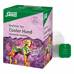 Bio Cooler Hund Früchte Tee