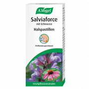 Halspastillen Salviaforce mit Echinacea