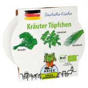 Bio Kräuter Töpfchen Deutsche Küche