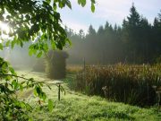 Yoga Natur und DU - 6 Tage im wunderschönen Erzgebirge: Yoga Natur und DU - 6 Tage im wunderschönen Erzgebirge EUR