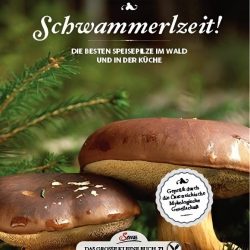 Das große kleine Buch: Schwammerlzeit!