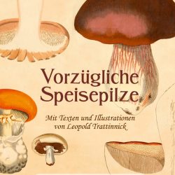 Das große kleine Buch: Vorzügliche Speisepilze