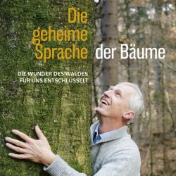 Die geheime Sprache der Bäume