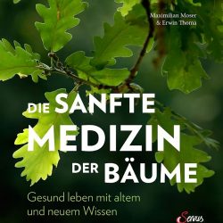 Die sanfte Medizin der Bäume