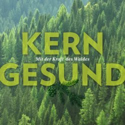 Kerngesund mit der Kraft des Waldes