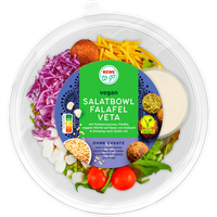REWE to go Salatbowl Falafel Veta vegan 325g