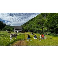 Lama Wanderung mit Yoga & Brunch