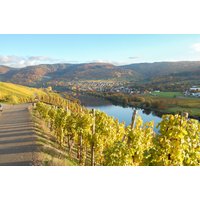 Weinwanderung und Schifffahrt auf der Mosel Bernkastel