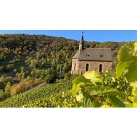 Weinbergwanderung Lorch