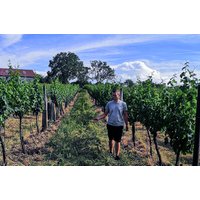 Weinbergwanderung Hohenruppersdorf