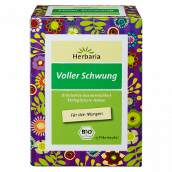 Bio Voller Schwung Tee, 15 Filterbeutel