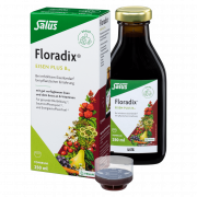 Floradix Eisen plus B12 vegan