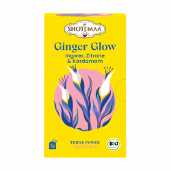 Bio Ginger Glow Tee, 16 Beutel